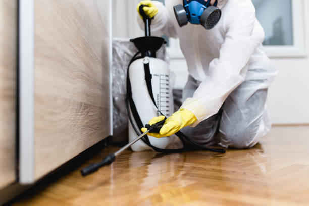 Best Affordable Pest Control Services  in Booneville, MS