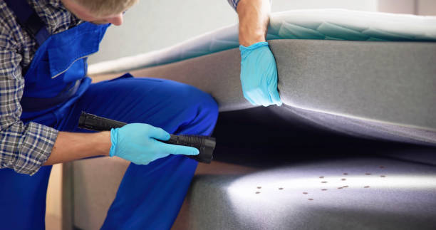 Trusted Booneville, MS Pest Control Experts